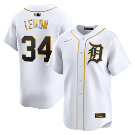 Men's Detroit Tigers 2025 Vapor Premier Limited Jersey - All Stitched
