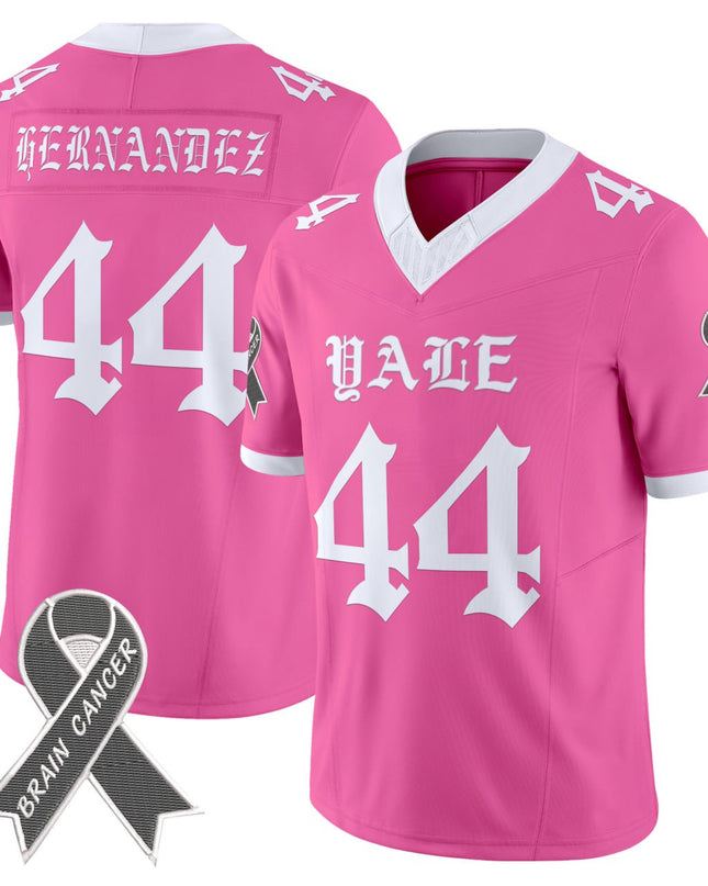 Pink Brain Cancer Vapor Limited Jersey - All Stitched
