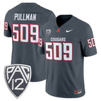 Anthracite / Pullman 509 / S